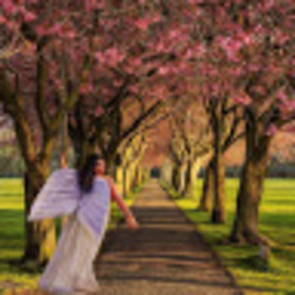 Meet your Posher, Joella